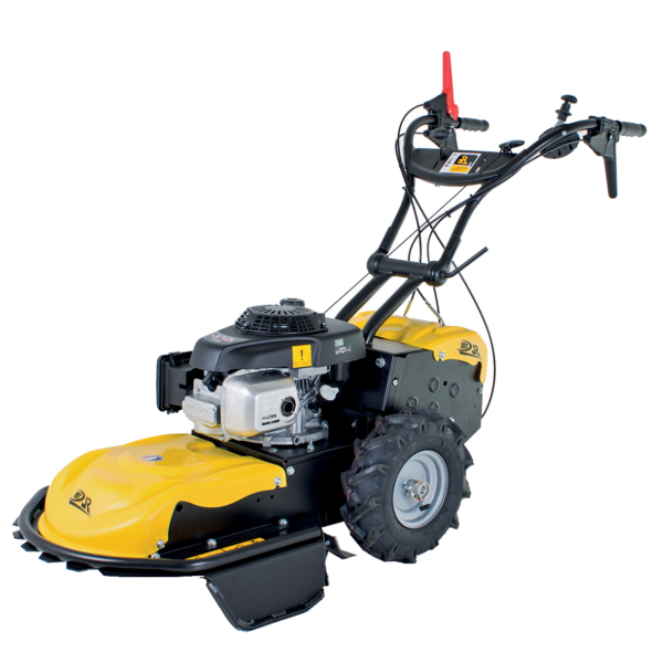 Roques et Lecœur RL115